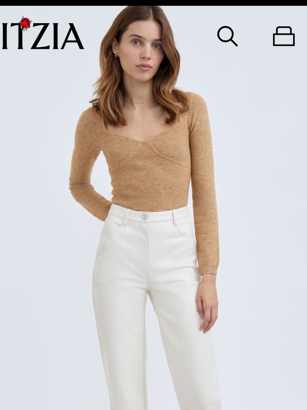 Aritzia Greer Sweater